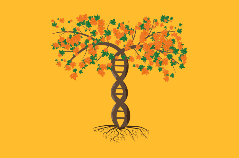vector graphic concept of heredity family tree double helix