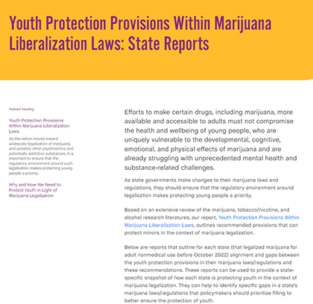 screenshot of Youth Protections Previsions page